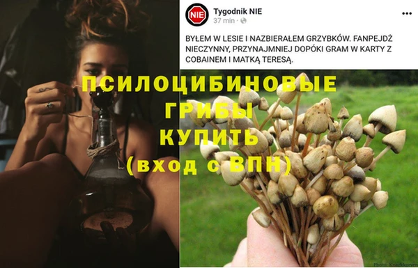 гидропоника Балабаново