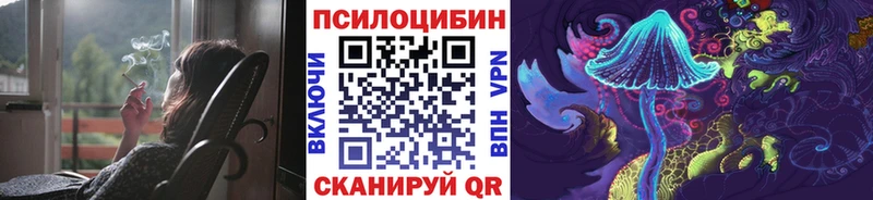 Псилоцибиновые грибы GOLDEN TEACHER  купить   Лагань 